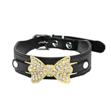 Small Dog Collar,  Leather with Gold and Crystal Bow