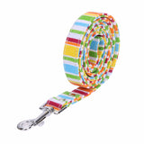 S/M/L Pet Small Dog Puppy Cat  Rainbow Color Canvas Harness Collar Leash Lead Adjustable For Pet Cat Dog