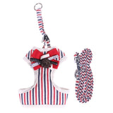 Cute Striped Dog or Puppy Halter with Matching Leash