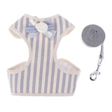 Cute Striped Dog or Puppy Halter with Matching Leash