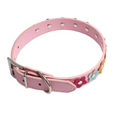 Sweet Flower Studded Puppy and Small Dog Collar in Leather
