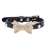 Thin Small Dog Collar with Crystal and Gold Bow Detail