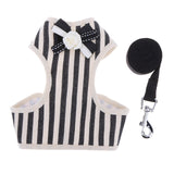 Cute Striped Dog or Puppy Halter with Matching Leash
